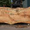 Goby Walnut Products Green Slabs Silver Maple Slab 071921-11