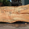 Goby Walnut Products Silver Maple Slab 071921-12 Green Slabs