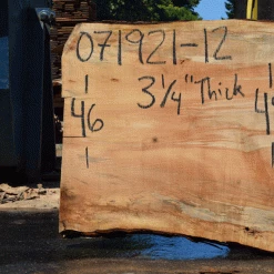 Goby Walnut Products Silver Maple Slab 071921-12 Green Slabs