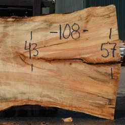 Goby Walnut Products Silver Maple Slab 071921-12 Green Slabs