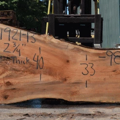 Goby Walnut Products Silver Maple Slab 071921-13