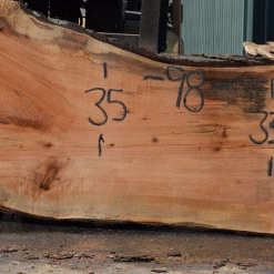 Goby Walnut Products Silver Maple Slab 071921-14 Green Slabs
