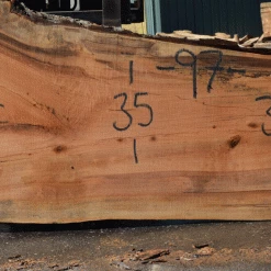 Goby Walnut Products Green Slabs Silver Maple Slab 071921-15
