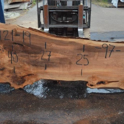 Goby Walnut Products Silver Maple Slab 071921-19 Green Slabs