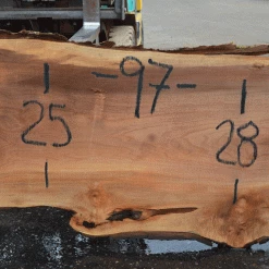 Goby Walnut Products Silver Maple Slab 071921-19 Green Slabs