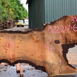 Goby Walnut Bastogne Walnut Slab 072217-06