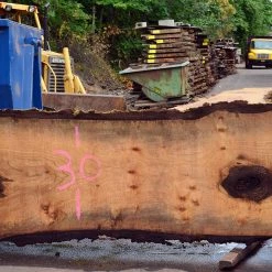 Goby Walnut Bastogne Walnut Slab 072217-06