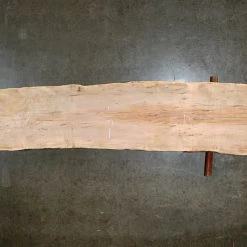 Goby Walnut Big Leaf Maple Slab 072321-14 Green Slabs