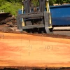 Goby Walnut Products Green Slabs 072419-02 Oregon Fir Slab