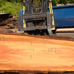 Goby Walnut Products Green Slabs 072419-02 Oregon Fir Slab