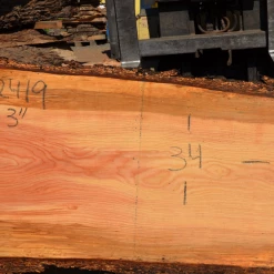 Goby Walnut Products Green Slabs 072419-02 Oregon Fir Slab