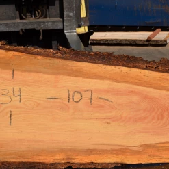 Goby Walnut Products Green Slabs 072419-02 Oregon Fir Slab