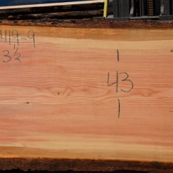 Goby Walnut Products Green Slabs 072419-09 Oregon Fir Slab