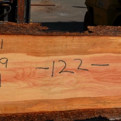 Goby Walnut Products 072419-12 Oregon Fir Slab Green Slabs