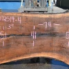 Goby Walnut Products 072519-04 Oregon Black Walnut Green Slabs