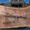 Goby Walnut Products 072519-05 Oregon Black Walnut Green Slabs