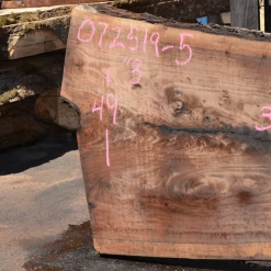 Goby Walnut Products 072519-05 Oregon Black Walnut Green Slabs