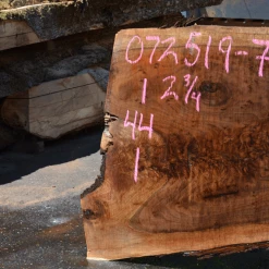Goby Walnut Products Green Slabs 072519-07 Oregon Black Walnut