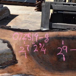 Goby Walnut Products 072519-08 Oregon Black Walnut Green Slabs