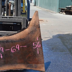 Goby Walnut Products 072519-08 Oregon Black Walnut Green Slabs