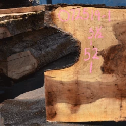 Goby Walnut Products Green Slabs 072619-01 Oregon Black Walnut