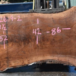 Goby Walnut Products 072619-02 Oregon Black Walnut Green Slabs