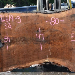 Goby Walnut Products 072619-03 Oregon Black Walnut Green Slabs