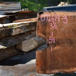 Goby Walnut Products 072619-03 Oregon Black Walnut Green Slabs
