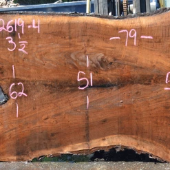 Goby Walnut Products Green Slabs 072619-04 Oregon Black Walnut