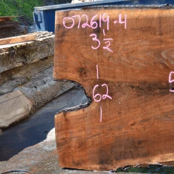 Goby Walnut Products Green Slabs 072619-04 Oregon Black Walnut