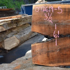 Goby Walnut Products Green Slabs 072619-05 Oregon Black Walnut