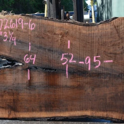 Goby Walnut Products Green Slabs 072619-06 Oregon Black Walnut