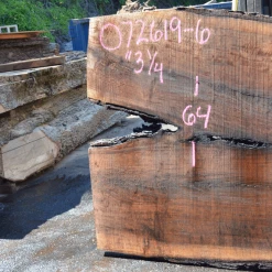 Goby Walnut Products Green Slabs 072619-06 Oregon Black Walnut