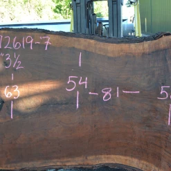 Goby Walnut Products Green Slabs 072619-07 Oregon Black Walnut