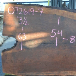 Goby Walnut Products Green Slabs 072619-07 Oregon Black Walnut