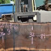 Goby Walnut Products Green Slabs 072719-06 Oregon Black Walnut
