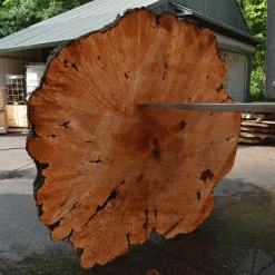 Goby Walnut Products Green Slabs Big Leaf Maple Burl 072721-01