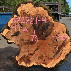 Goby Walnut Products Green Slabs Big Leaf Maple Burl 072721-04
