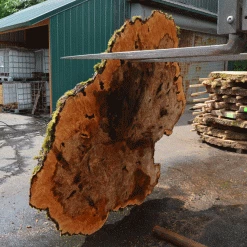 Goby Walnut Products Green Slabs Big Leaf Maple Burl 072721-04