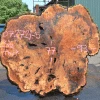 Goby Walnut Products Green Slabs Big Leaf Maple Burl 072721-05