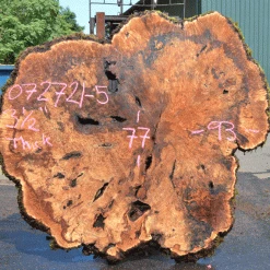 Goby Walnut Products Green Slabs Big Leaf Maple Burl 072721-05