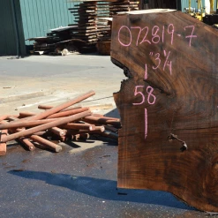 Goby Walnut Products Green Slabs 072819-07 Oregon Black Walnut