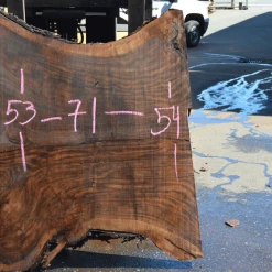 Goby Walnut Products Green Slabs 072819-07 Oregon Black Walnut