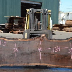 Goby Walnut Products 080119-03 Oregon Black Walnut Green Slabs