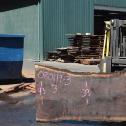 Goby Walnut Products 080119-03 Oregon Black Walnut Green Slabs