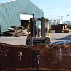 Goby Walnut Products 080119-05 Oregon Black Walnut Green Slabs