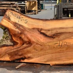 Goby Walnut Elm Slab 080315-05