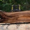 Goby Walnut Elm Slab 080315-06 Green Slabs