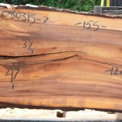 Goby Walnut Elm Slab 080315-07