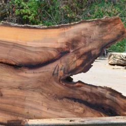 Goby Walnut Elm Slab 080315-07
